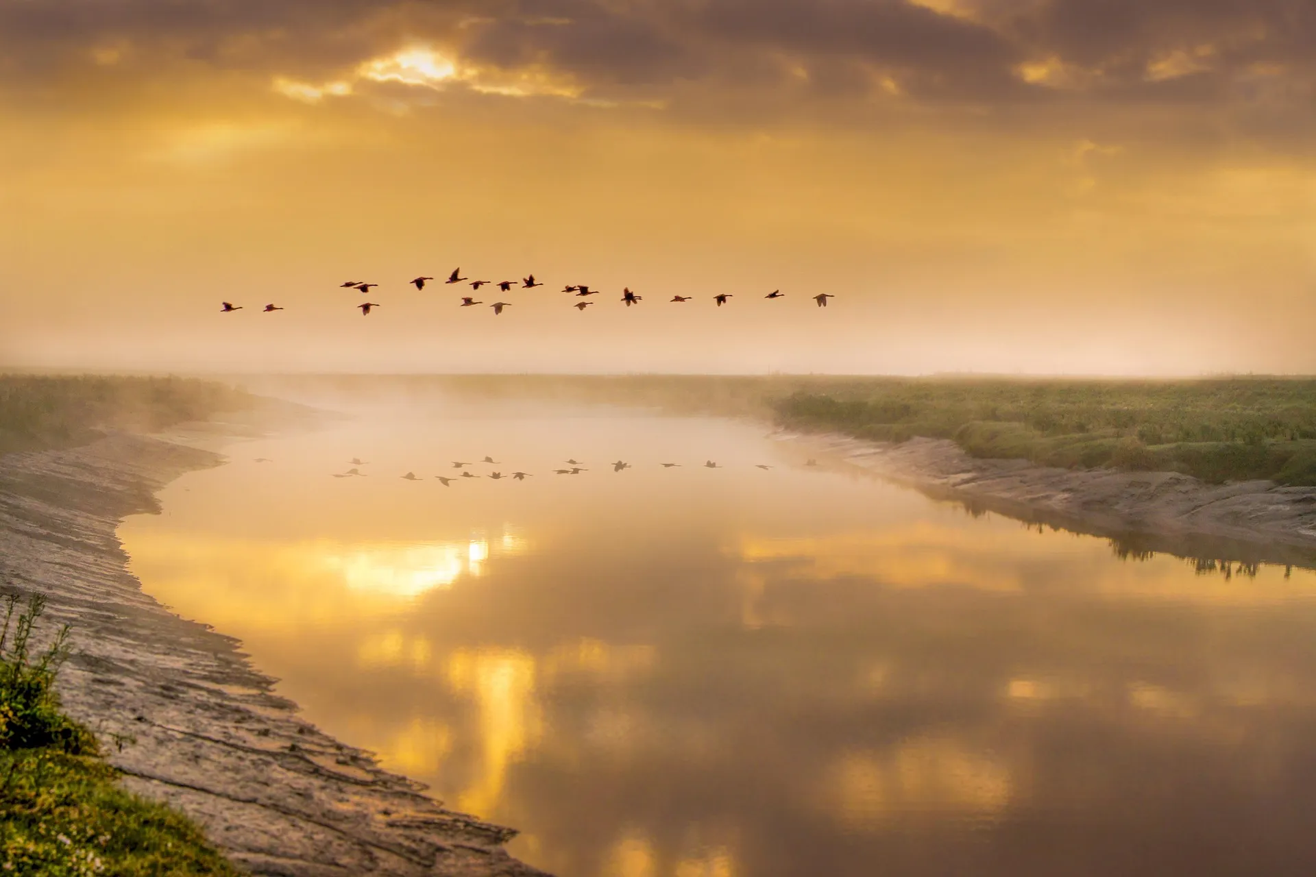 Birds flying over a misted river at sunrise.